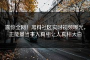 震惊全网！黑料社区实时视频曝光，正能量当事人真相让人真相大白