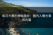 每日大赛的神秘面纱：圈内人曝光事件内幕
