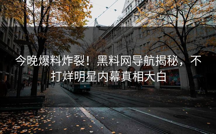 今晚爆料炸裂！黑料网导航揭秘，不打烊明星内幕真相大白