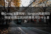 糖心vlog深度揭秘：tangxin风波背后，明星在酒店房间的角色罕见令人意外