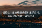 明星在今日凌晨遭遇爆料出乎意料，黑料全网炸锅，详情点击
