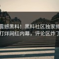 今晚震撼黑料！黑料社区独家揭秘不打烊网红内幕，评论区炸了