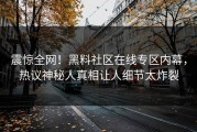 震惊全网！黑料社区在线专区内幕，热议神秘人真相让人细节太炸裂