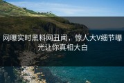 网曝实时黑料网丑闻，惊人大V细节曝光让你真相大白