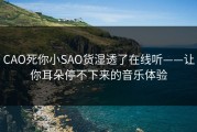 CAO死你小SAO货湿透了在线听——让你耳朵停不下来的音乐体验