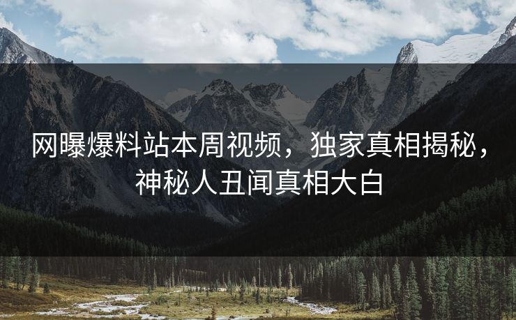 网曝爆料站本周视频，独家真相揭秘，神秘人丑闻真相大白