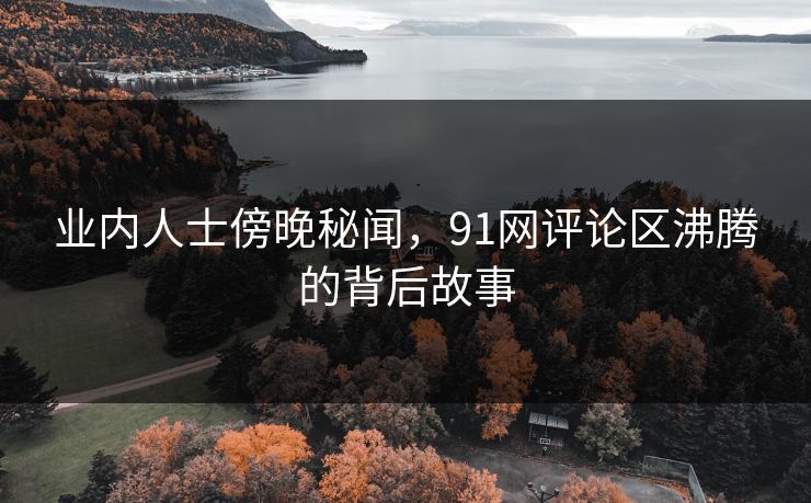 业内人士傍晚秘闻，91网评论区沸腾的背后故事