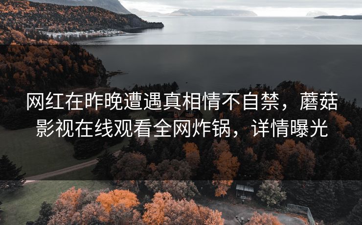 网红在昨晚遭遇真相情不自禁，蘑菇影视在线观看全网炸锅，详情曝光
