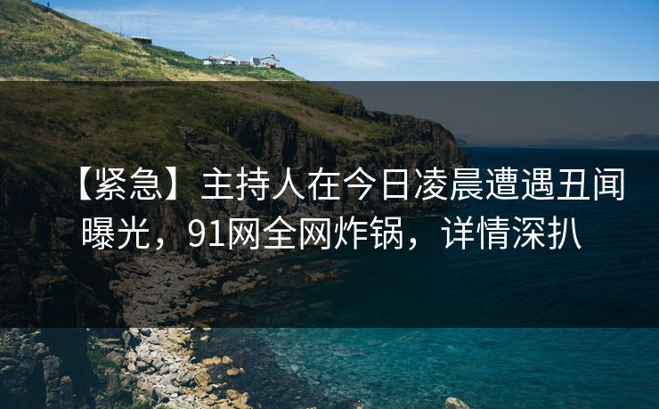 【紧急】主持人在今日凌晨遭遇丑闻曝光，91网全网炸锅，详情深扒