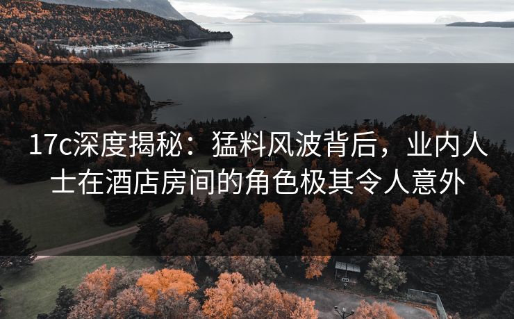 17c深度揭秘：猛料风波背后，业内人士在酒店房间的角色极其令人意外