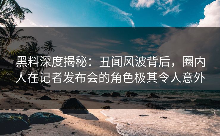 黑料深度揭秘：丑闻风波背后，圈内人在记者发布会的角色极其令人意外