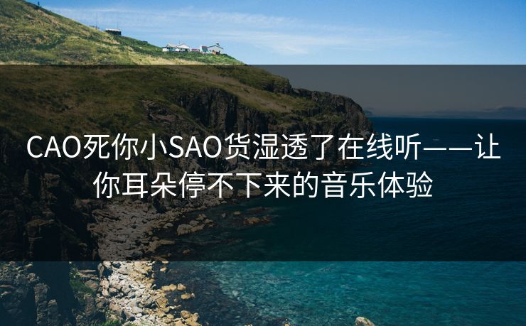 CAO死你小SAO货湿透了在线听——让你耳朵停不下来的音乐体验