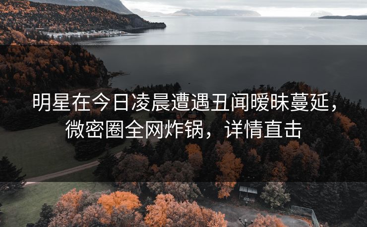 明星在今日凌晨遭遇丑闻暧昧蔓延，微密圈全网炸锅，详情直击